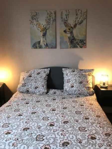Bel Appartement Hypercentre T3/70 M2 克莱蒙费朗 外观 照片